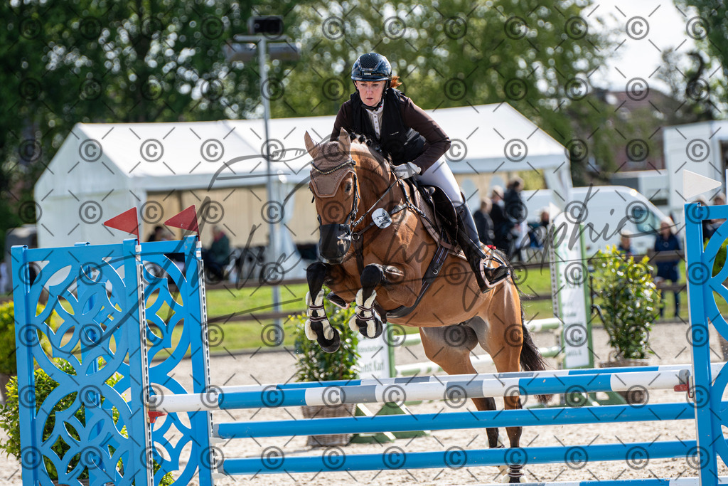 KPT_4661 | andre_photographic