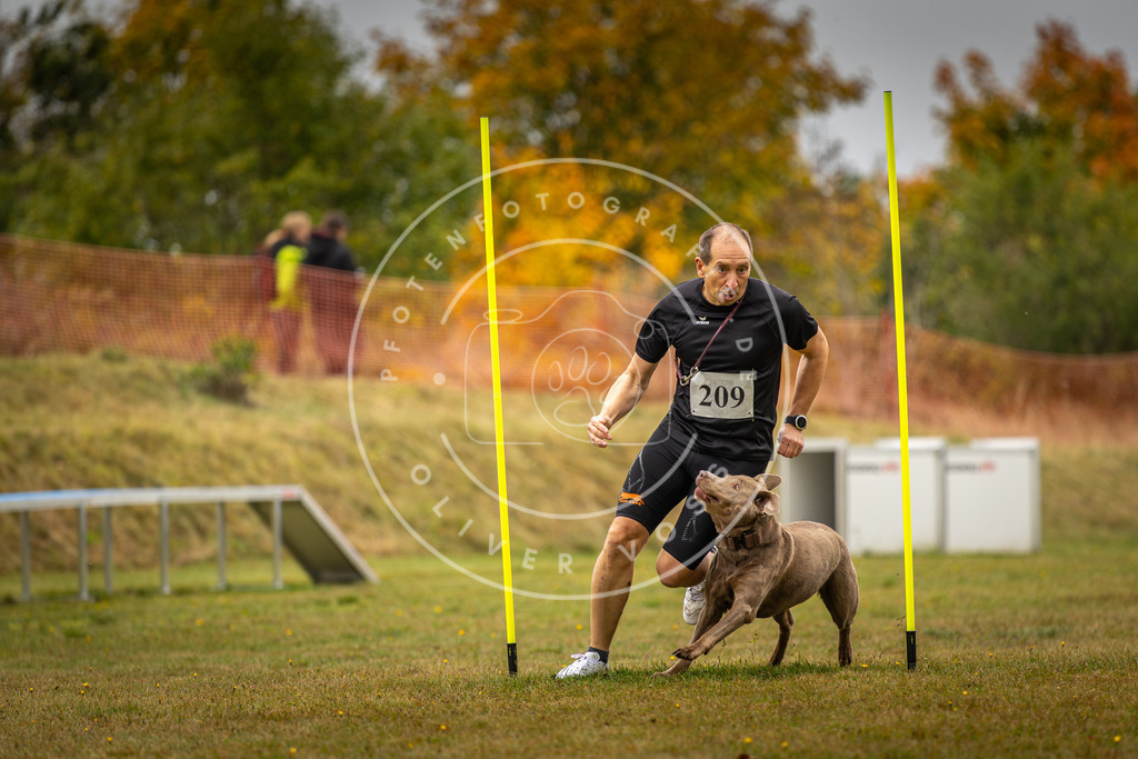 Pfotenfotografie_DV3A2306 | Hundefotografie, Tierfotograf, Pfotenfotografie, Fotoshooting Hund, Hunde Portrait, Hundesport, Hundeportraits, Heideshooting, Hunde, Sportfotograf, Hundefotograf, Turnierhundsport, THS,  - Realisiert mit Pictrs.com