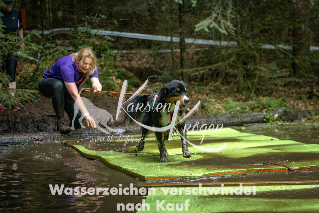 1537_ZZ91485-Bearbeitet | kk-dogfotos