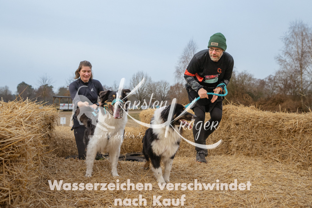 0825_ZZ92840 | kk-dogfotos