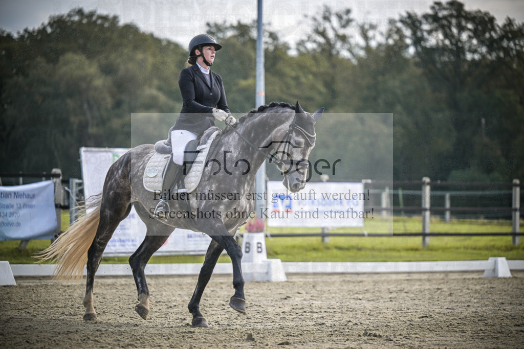 DOS_B187 | Entdecke hochwertige Reitturnierfotos von Foto Oger. Professionell, emotional und authentisch – jetzt Lieblingsmomente im Shop bestellen.Deutschlandweite Turnierfotografie. - Realisiert mit Pictrs.com