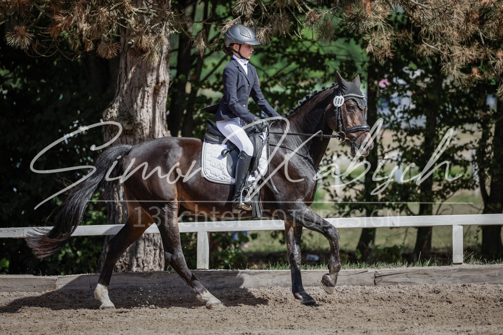 20250906-_3LI5397 | Tierfotografie Pferde, Hunde, Katzen, Haustiere.
Turnierfotografie Reitturniere, Reiten, Springreiten, Dressur in Hanau, dem Main-Kinzig-Kreis und dem Rhein-Main- Gebiet um Frankfurt