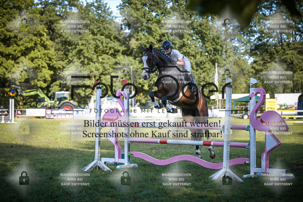 DOS_0619 | Entdecke hochwertige Reitturnierfotos von Foto Oger. Professionell, emotional und authentisch – jetzt Lieblingsmomente im Shop bestellen.Deutschlandweite Turnierfotografie. - Realisiert mit Pictrs.com