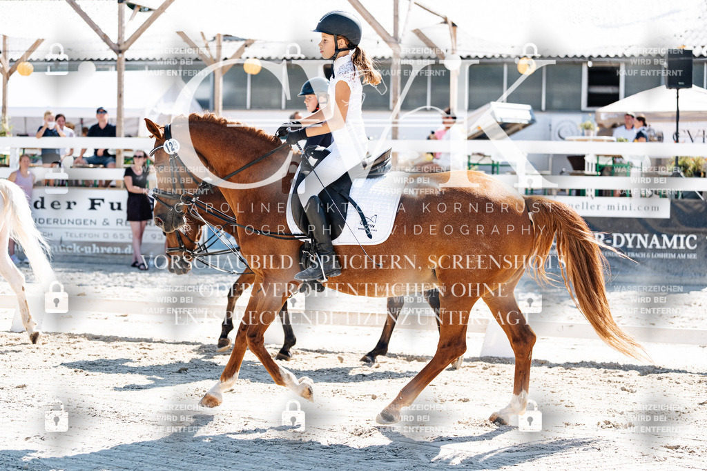 CK902541 | Turnierfotografie Pferdefotografie Trier Rheinland-Pfalz Pferdesport Reitsport Tierfotografie Sportfotografie Pferdevideo Pferdevideografie Equestrianvideography equestrianphotography  - Realisiert mit Pictrs.com