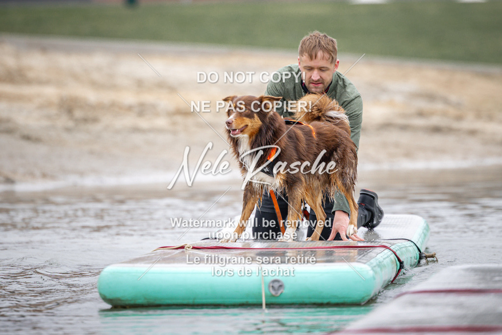 nelerasche_Hulsbeek_Sa1030-1100_562 | nelerasche