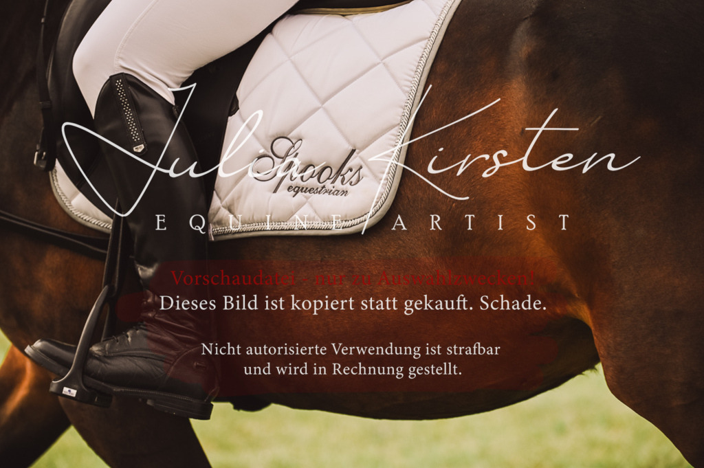 DSC_4878 | Pferde- und Turnierfotografie in Westsachsen. Pferdeportraits, Auftragszeichnungen und intuitive Kunst.