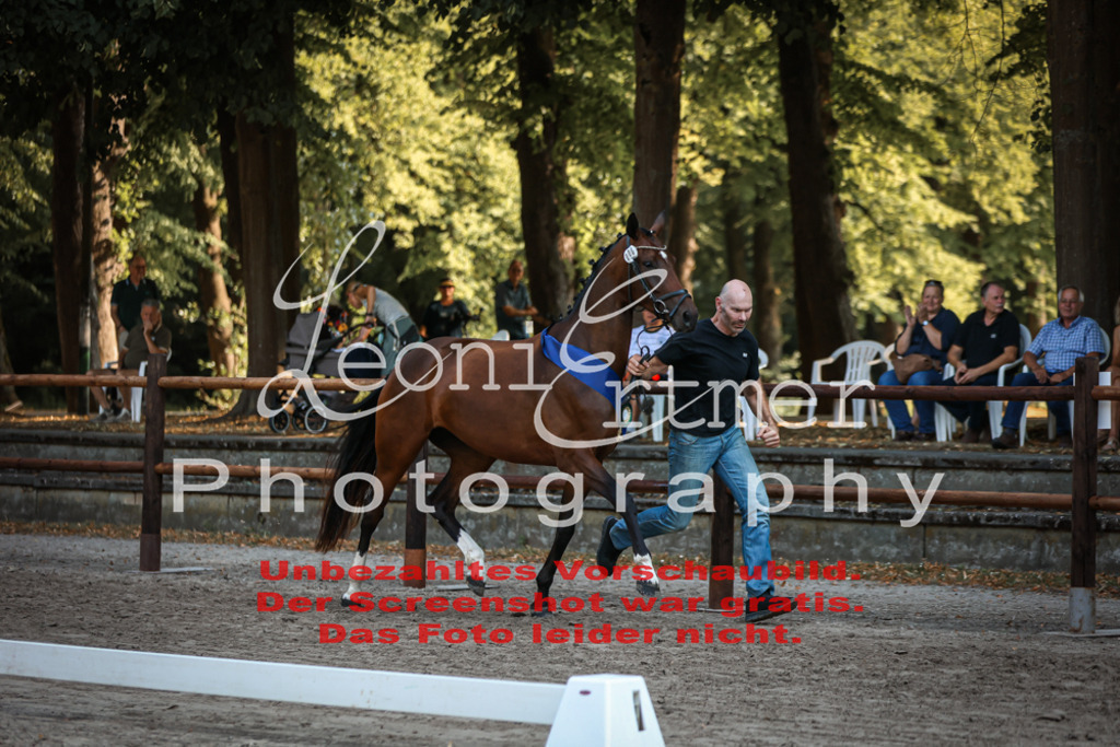 DoER00058 | Leoni Ertmer Photography - Realisiert mit Pictrs.com