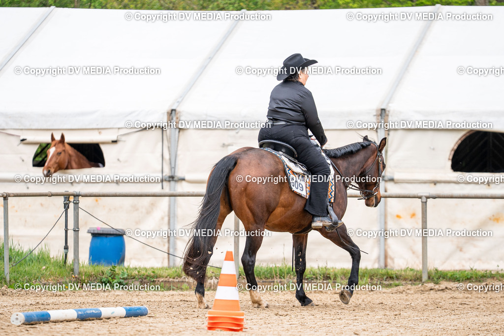 Heiligenwald Tag 1-813 | dv-media-shop - Realisiert mit Pictrs.com