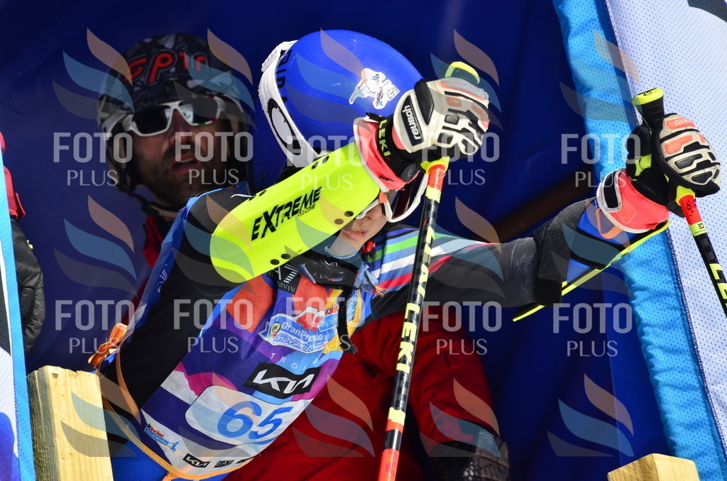 _ELE0272 | holidayphoto