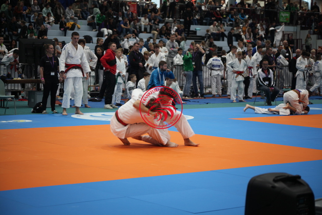 IMG_1499 | Fotos vom Adler Cup - Pictures from Adler Cup

Hier findet Ihr alle Eindrücke und großen Momente der Adler Cup Wochenenden. Here you will find all impressions and great moments of the Adler Cup weekends. - Realisiert mit Pictrs.com