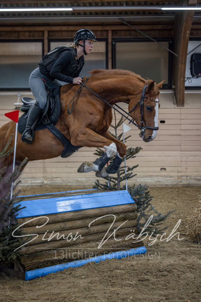 20260222-_3LI2301 | Tierfotografie Pferde, Hunde, Katzen, Haustiere.
Turnierfotografie Reitturniere, Reiten, Springreiten, Dressur in Hanau, dem Main-Kinzig-Kreis und dem Rhein-Main- Gebiet um Frankfurt