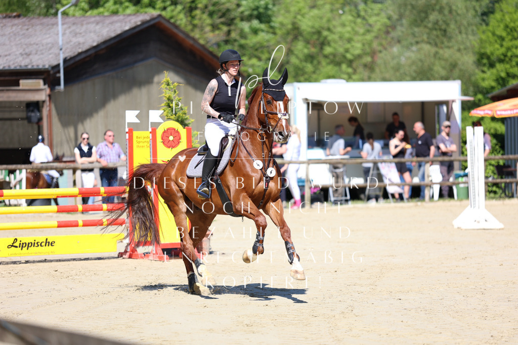 IMGS7183 | pl-fotografie