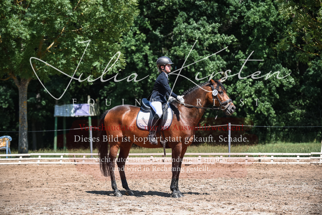 DSC_2893 | Pferde- und Turnierfotografie in Westsachsen. Pferdeportraits, Auftragszeichnungen und intuitive Kunst.