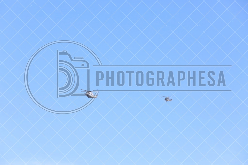 IMG_8826 | photographesa-joergens - Realisiert mit Pictrs.com
