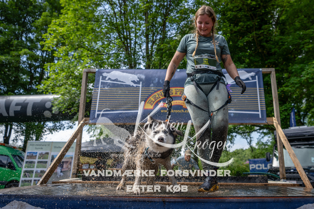 1135_ZZ94690 | kk-dogfotos