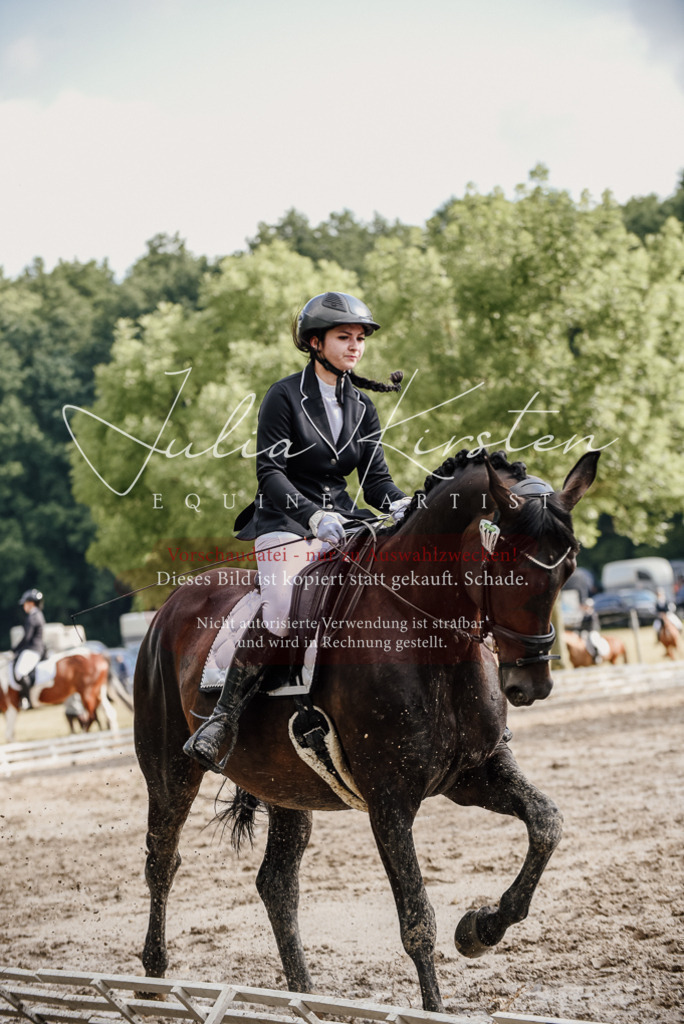 DSC_8678 | Pferde- und Turnierfotografie in Westsachsen. Pferdeportraits, Auftragszeichnungen und intuitive Kunst.