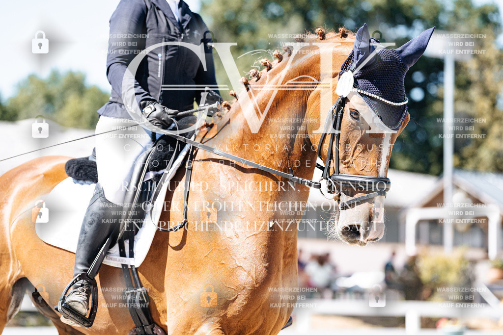 CK900015 | Turnierfotografie Pferdefotografie Trier Rheinland-Pfalz Pferdesport Reitsport Tierfotografie Sportfotografie Pferdevideo Pferdevideografie Equestrianvideography equestrianphotography  - Realisiert mit Pictrs.com