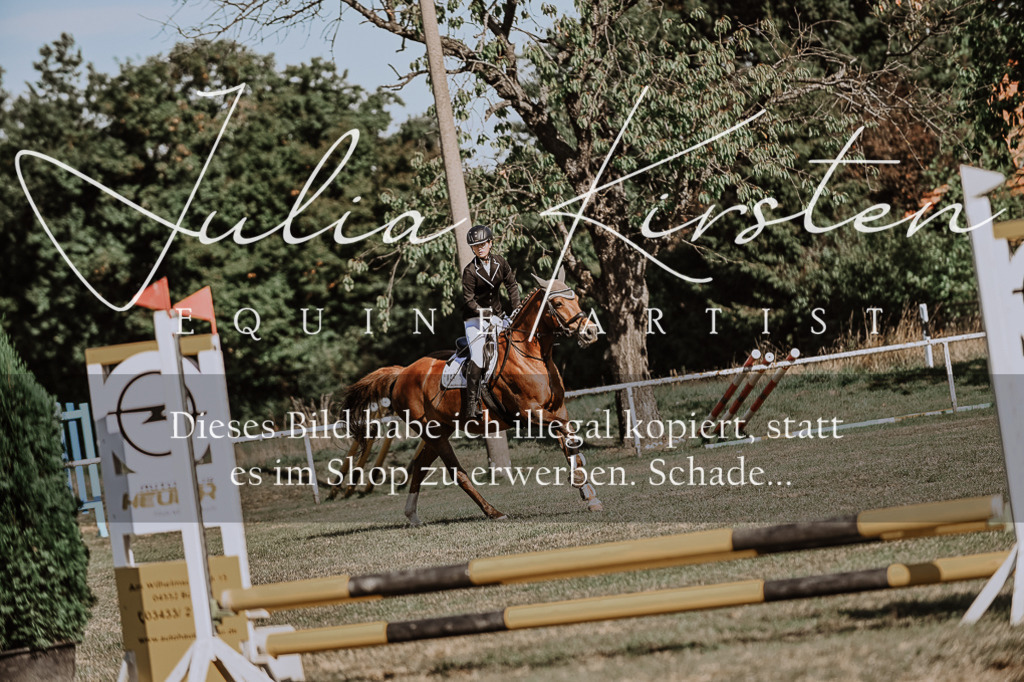 DSC_9351 | Pferde- und Turnierfotografie in Westsachsen. Pferdeportraits, Auftragszeichnungen und intuitive Kunst.