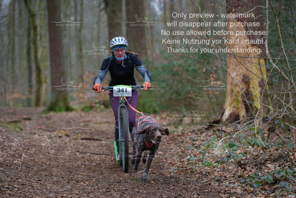 Scooter_So-68 | stephaniefillaphotographie - Realisiert mit Pictrs.com