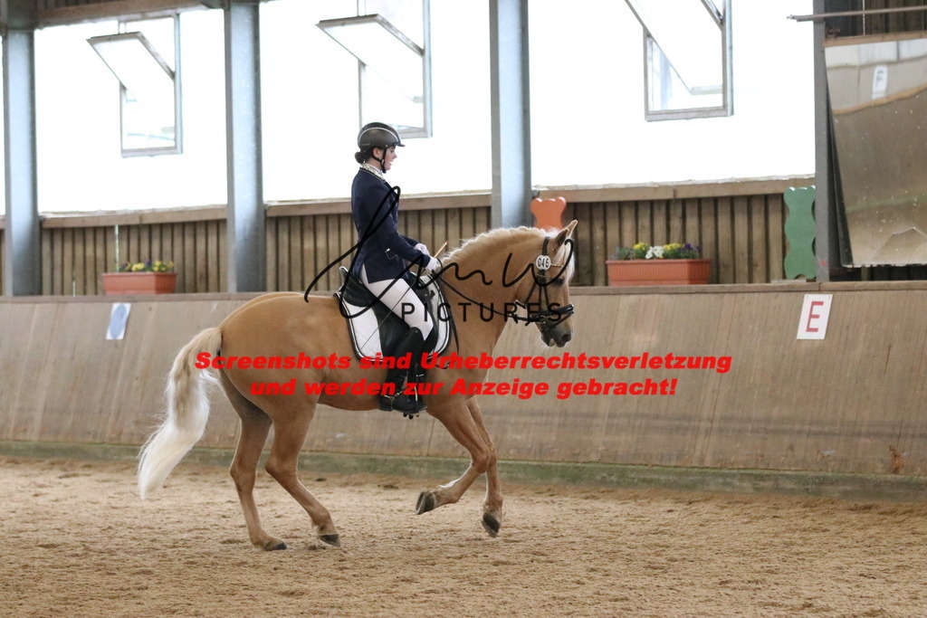 IMG_6670 | lmwpictures - Realisiert mit Pictrs.com