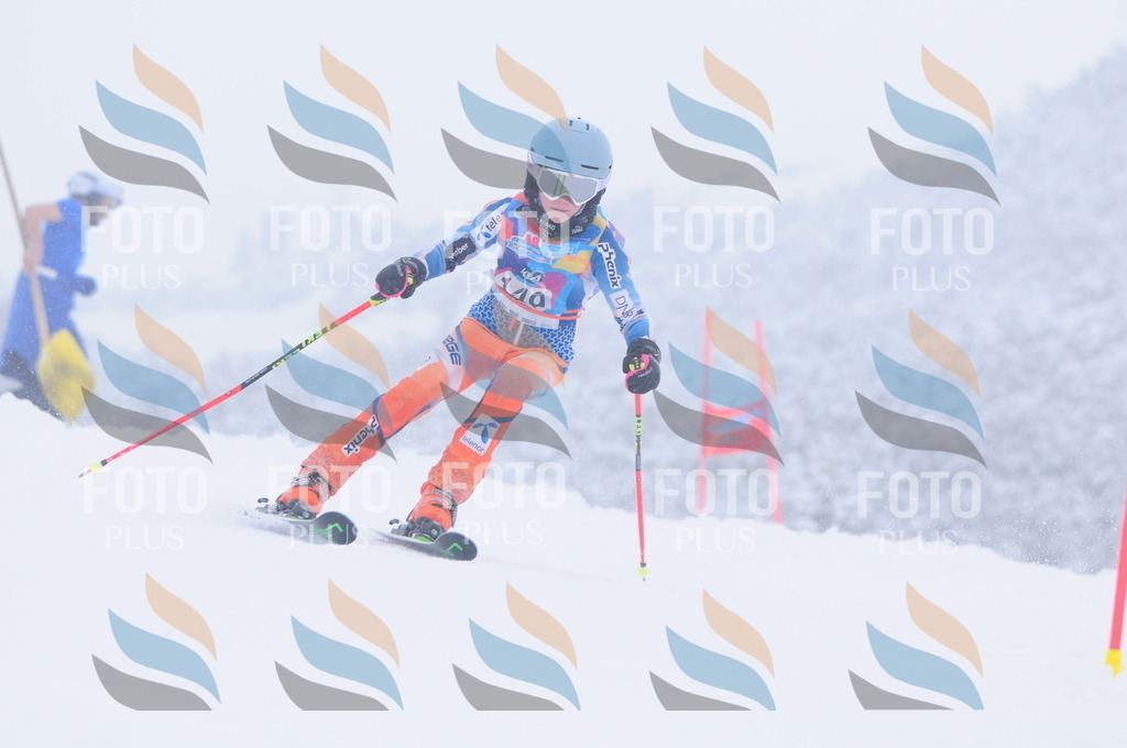 C1795 | holidayphoto