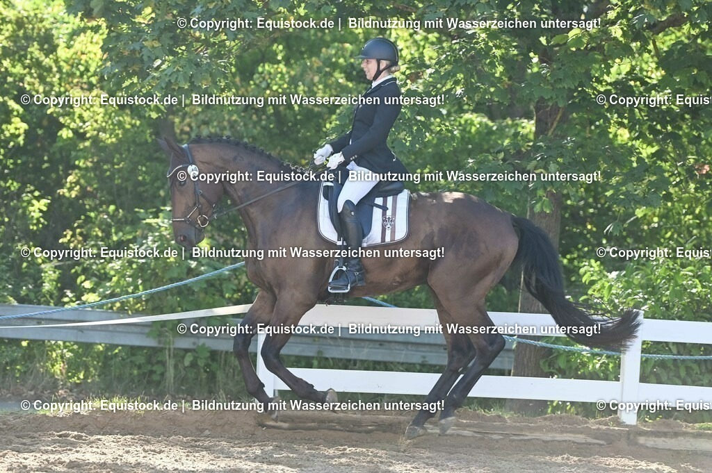 20230715_06_Dressurpferdeprfg. Kl.A_0050 | equistock