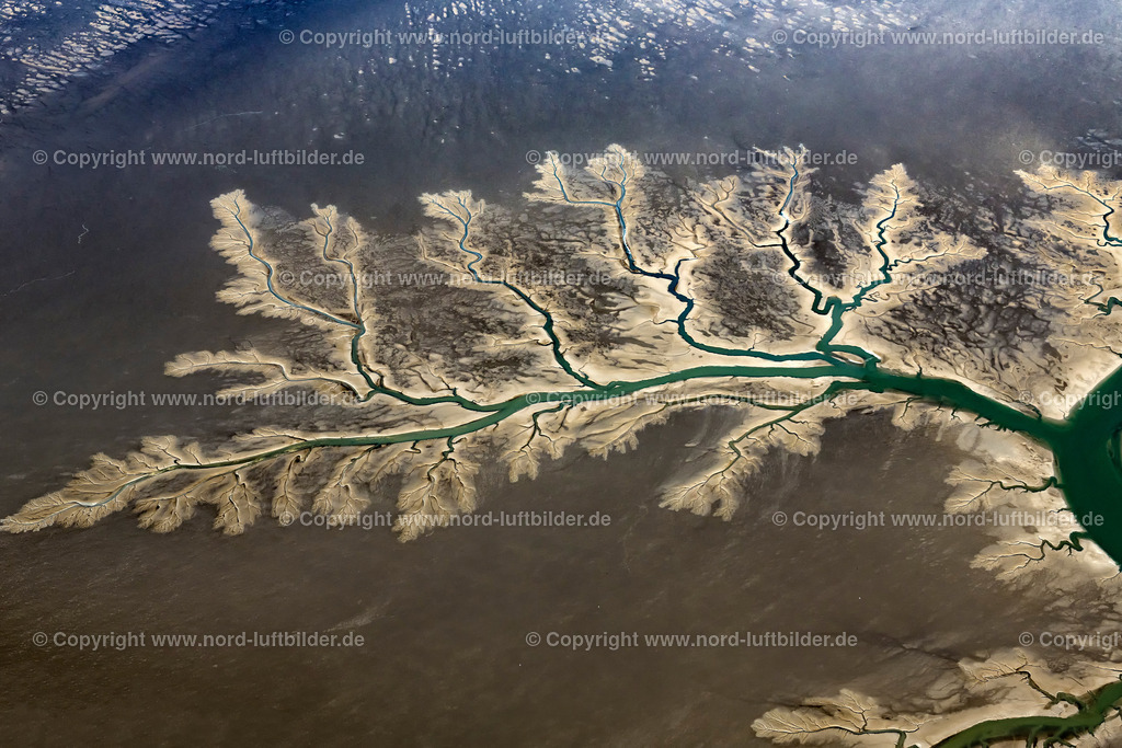 Wattenmeer_ELS_3872280419 | Wattenmeer - Aufnahmedatum: 28.04.2019, Aufnahmehöhe: 750 m, Koordinaten: N53°57.812' - E8°50.462', Bildgröße: 7283 x  4855 Pixel - Copyright 2019 by Martin Elsen, Kontakt: Tel.: +49 157 74581206, E-Mail: info@schoenes-foto.de

Schlagwörter:Niedersachsen,Gezeiten,Ebbe und Flut,Luftbild, Luftbilder, Deutschland
