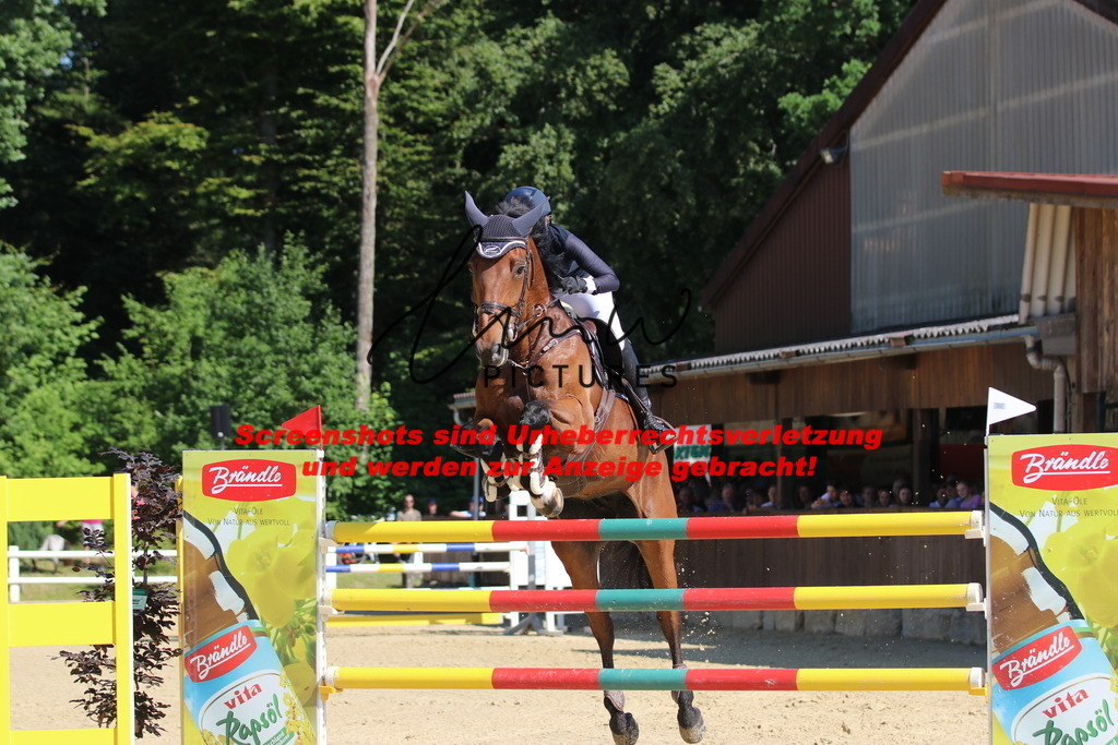 IMG_3152 | lmwpictures - Realisiert mit Pictrs.com