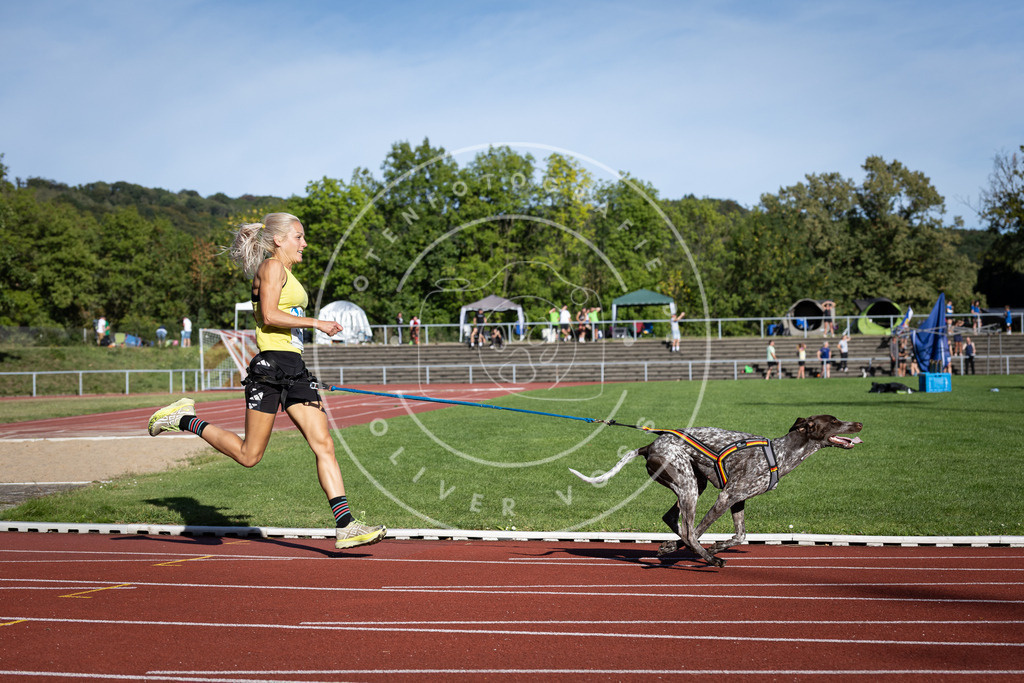 Pfotenfotografie_DV3A9634 | Hundefotografie, Tierfotograf, Pfotenfotografie, Fotoshooting Hund, Hunde Portrait, Hundesport, Hundeportraits, Heideshooting, Hunde, Sportfotograf, Hundefotograf, Turnierhundsport, THS,  - Realisiert mit Pictrs.com