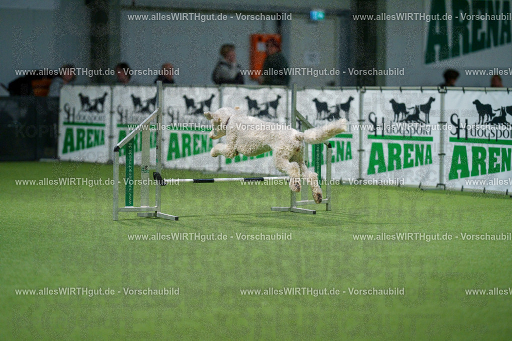 7R505525 | Professionelle Tierfotografie in Mönchengladbach von Daniel Wirth (allesWIRTHgut). Liebevolle & natürliche Bilder von Hunden & Katzen für unvergessliche Erinnerungen.