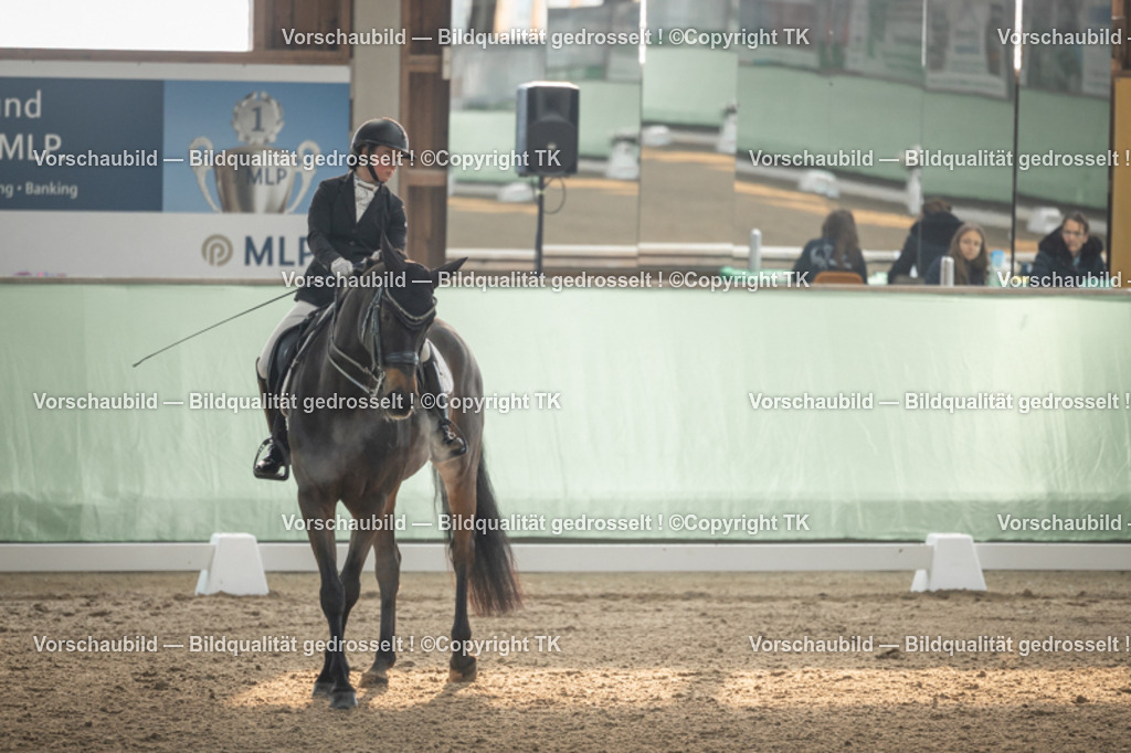 _D5A4082 | Emotionale Pferde- & People-Fotografie rund um Heidelberg, Leimen & Umgebung. Natürliche Fotos von Pferd, Mensch & Familie. Jetzt Termin sichern!