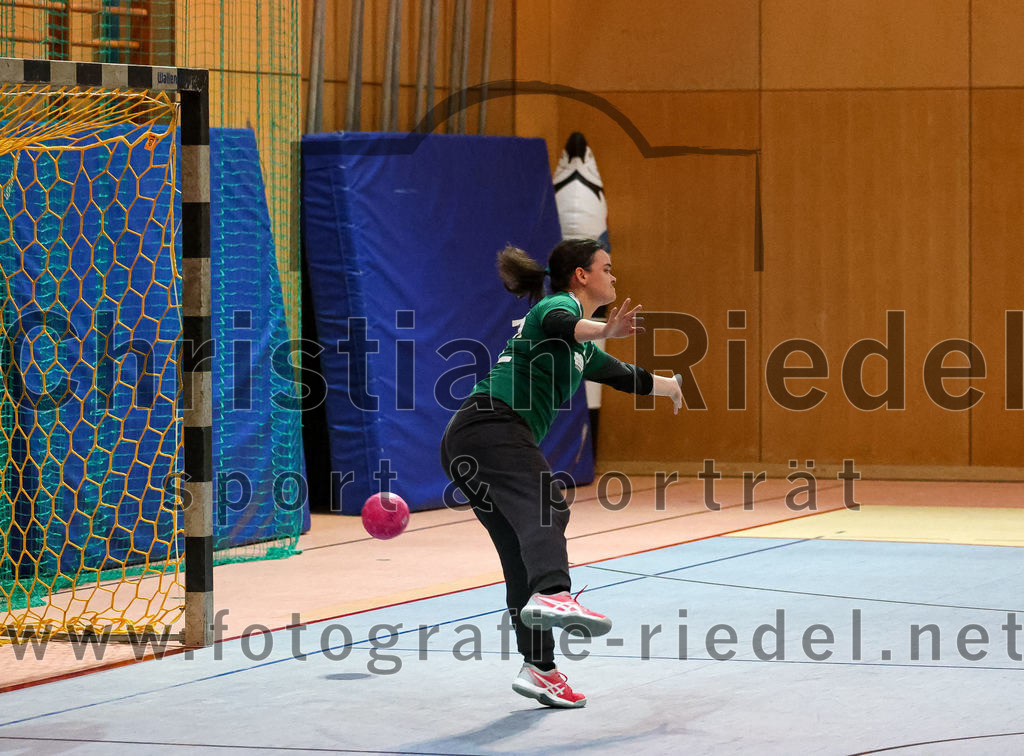 2022-11-05_005_SpVgg_Altenerding_gegen_SpVgg_Erdweg | Erding, Deutschland, 05.11.2022:
Handball, Bezirksoberliga Frauen Altbayern 2022 / 2023, 3. Spieltag, SpVgg Altenerding gegen SpVgg Erdweg, Endergebnis: 27:16

Torfrau Anna-Lena Schmitt (SpVgg Altenerding, #12)

Foto: Christian Riedel / fotografie-riedel.net
