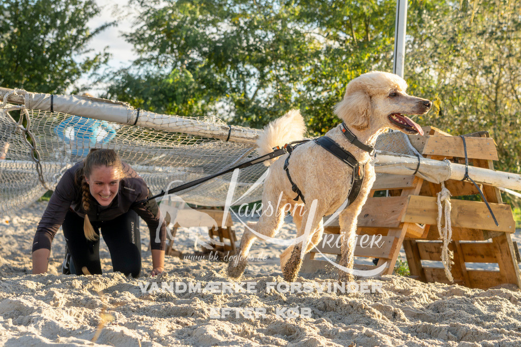 1653_ZZ90107 | kk-dogfotos