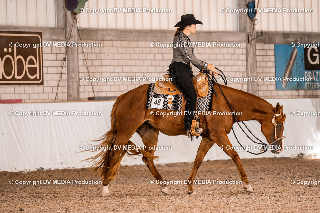 ZH100049 | dv-media-shop - Realisiert mit Pictrs.com