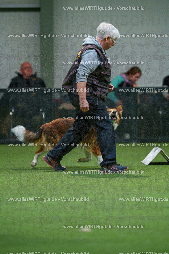 7R504102 | Professionelle Tierfotografie in Mönchengladbach von Daniel Wirth (allesWIRTHgut). Liebevolle & natürliche Bilder von Hunden & Katzen für unvergessliche Erinnerungen.