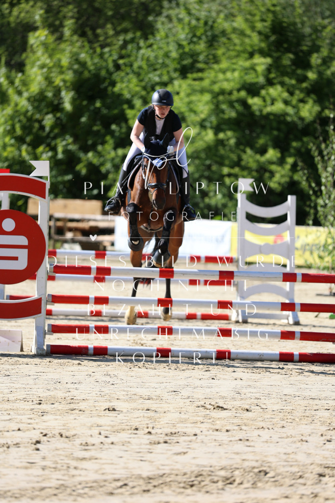 IMGS5201 | pl-fotografie