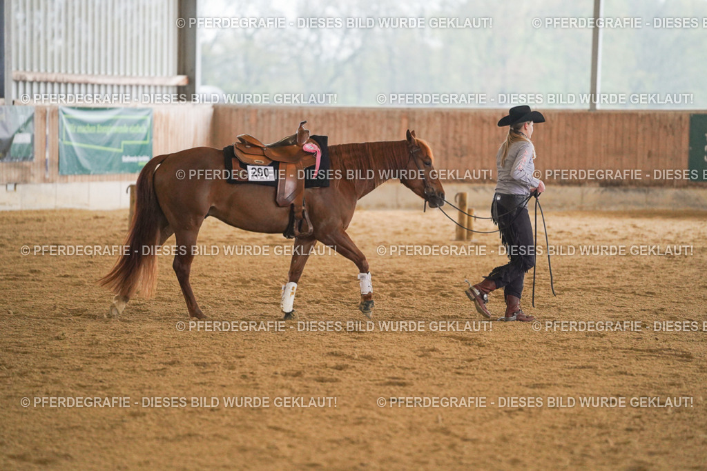 DSC09668 | Pferdegrafie