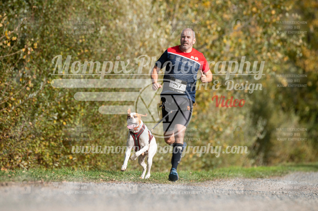 TSB_2023_E2_Canicross-90 | PayLife