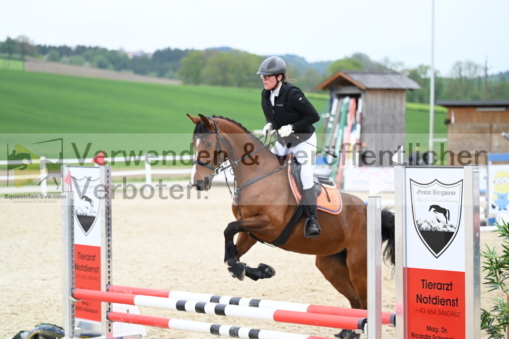 DSC_1972 | equestrian-live-com
