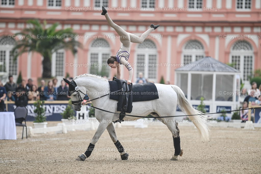 20240519_Voltige_0237 | Foto: Thomas Hartig