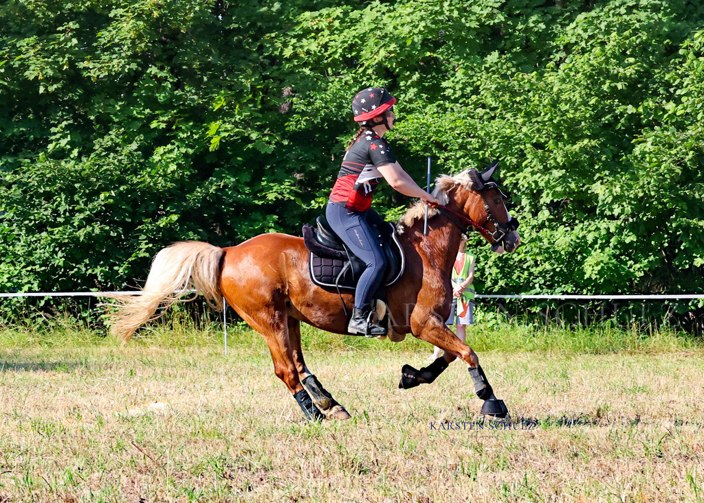 1B3A8646 | Reitsport Reiten