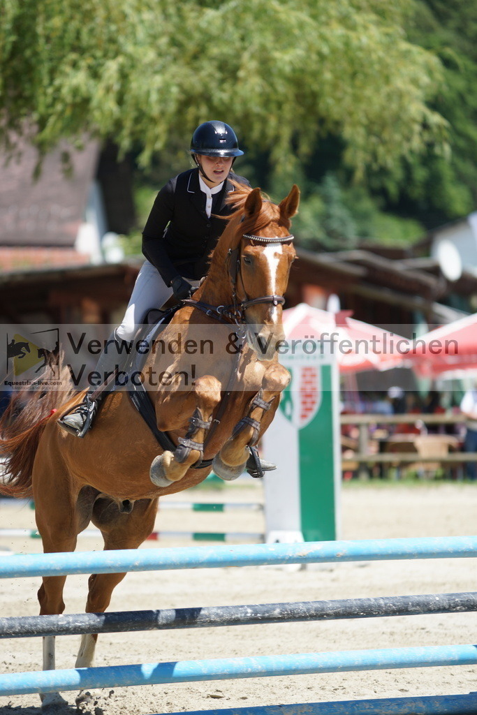 DSC09194 | equestrian-live-com