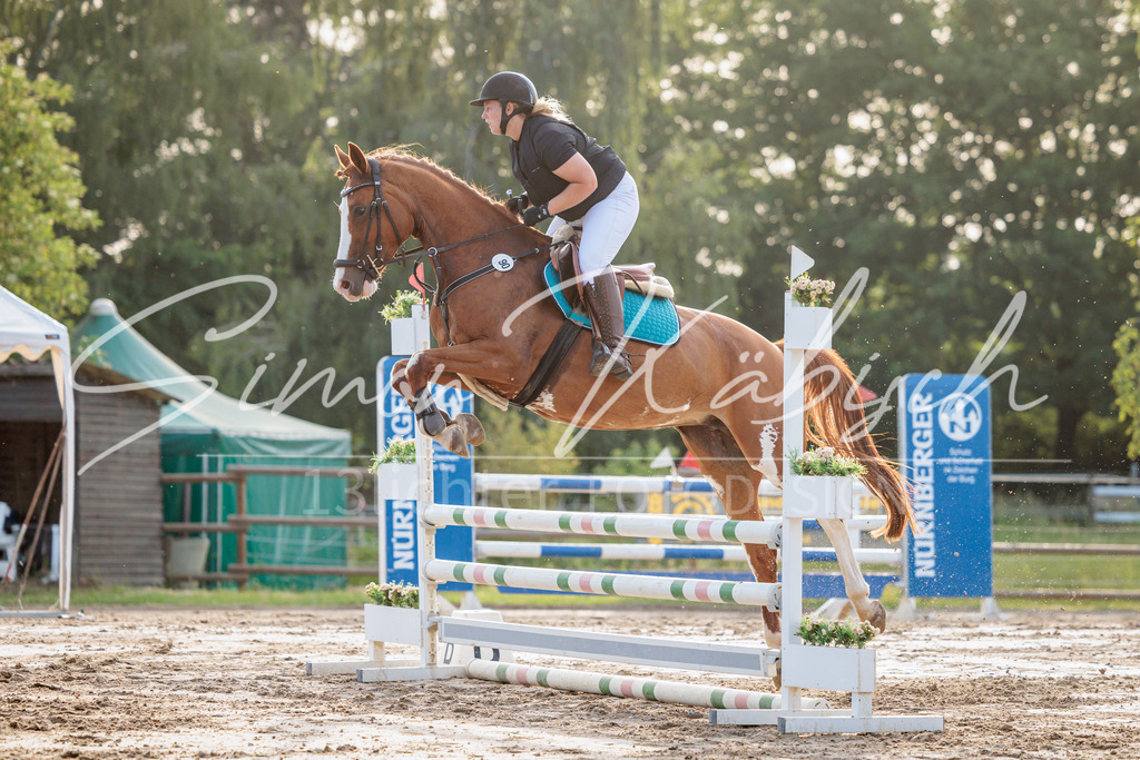 20260529-_3LI1338 | Tierfotografie Pferde, Hunde, Katzen, Haustiere.
Turnierfotografie Reitturniere, Reiten, Springreiten, Dressur in Hanau, dem Main-Kinzig-Kreis und dem Rhein-Main- Gebiet um Frankfurt
