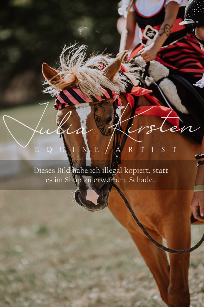 DSC_8972 | Pferde- und Turnierfotografie in Westsachsen. Pferdeportraits, Auftragszeichnungen und intuitive Kunst.