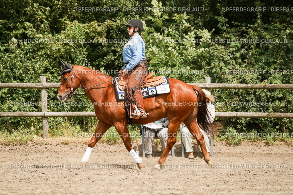 DSC00081 | Pferdegrafie