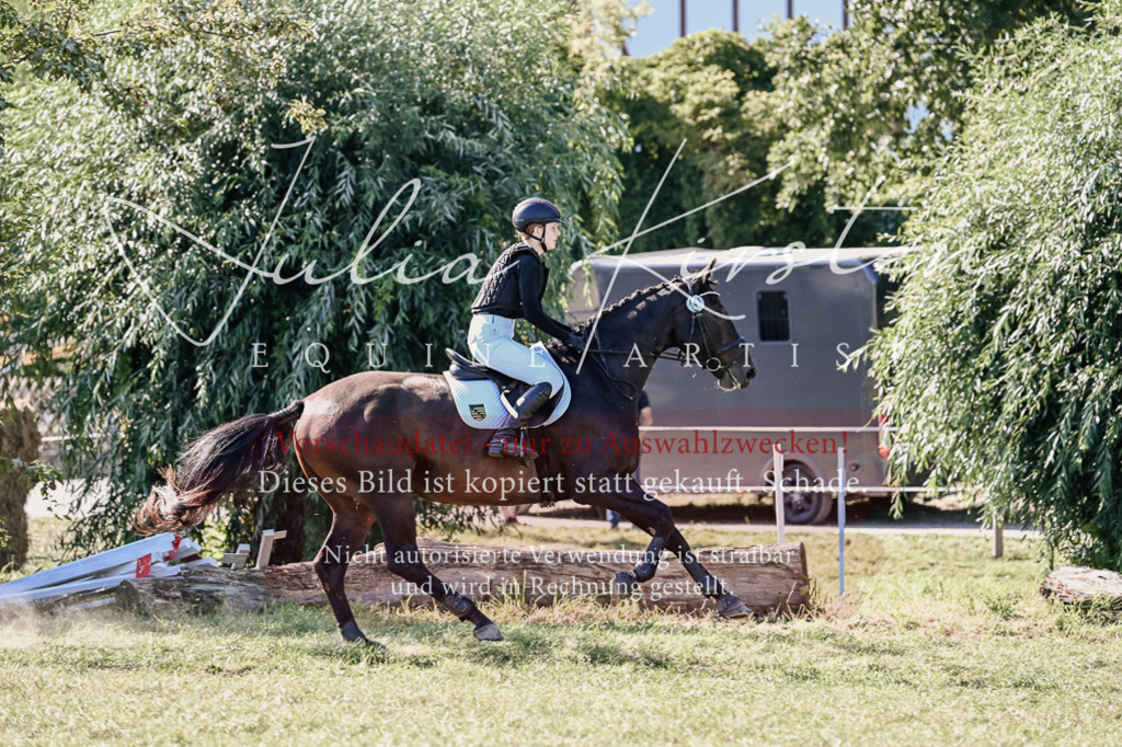 DSC_3408 | Pferde- und Turnierfotografie in Westsachsen. Pferdeportraits, Auftragszeichnungen und intuitive Kunst.