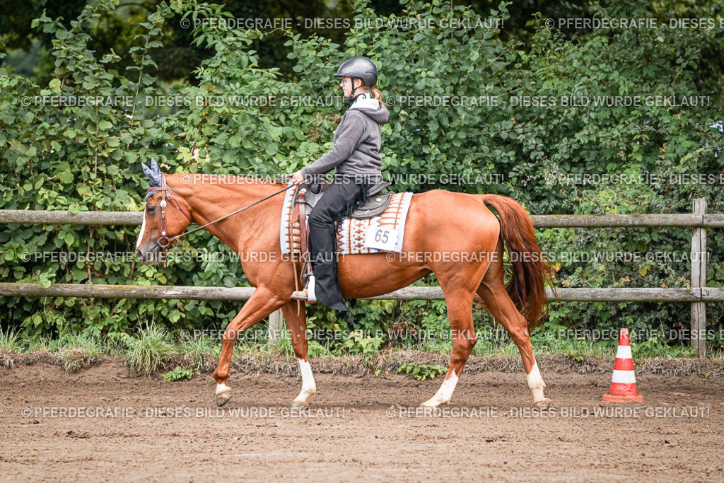 DSC05576 | Pferdegrafie