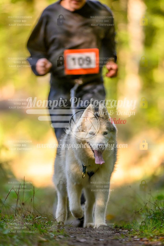 MompixPhotography_Yens2025_B3-107 | PayLife