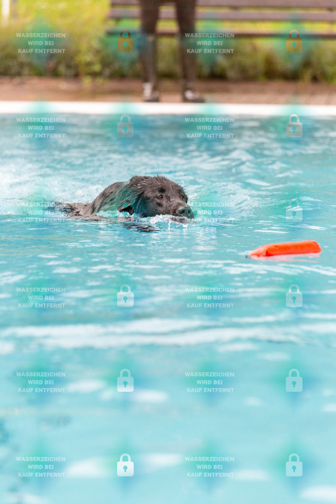 _HP_7244_1000o | HetPix, HetPix Fotodesign, Fotografie, Fotodesign, Webshop, Sportfotografie, Portraitfotografie, Onlineshop, Sportfotografie, Polch, Motorsportfotografie, Eventfotografie