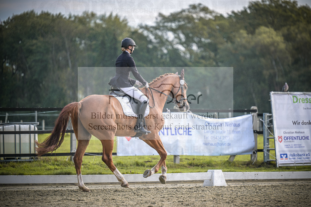 DOS_B064 | Entdecke hochwertige Reitturnierfotos von Foto Oger. Professionell, emotional und authentisch – jetzt Lieblingsmomente im Shop bestellen.Deutschlandweite Turnierfotografie. - Realisiert mit Pictrs.com